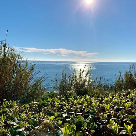 Punta Del Faro Daire Torrox Dış mekan fotoğraf
